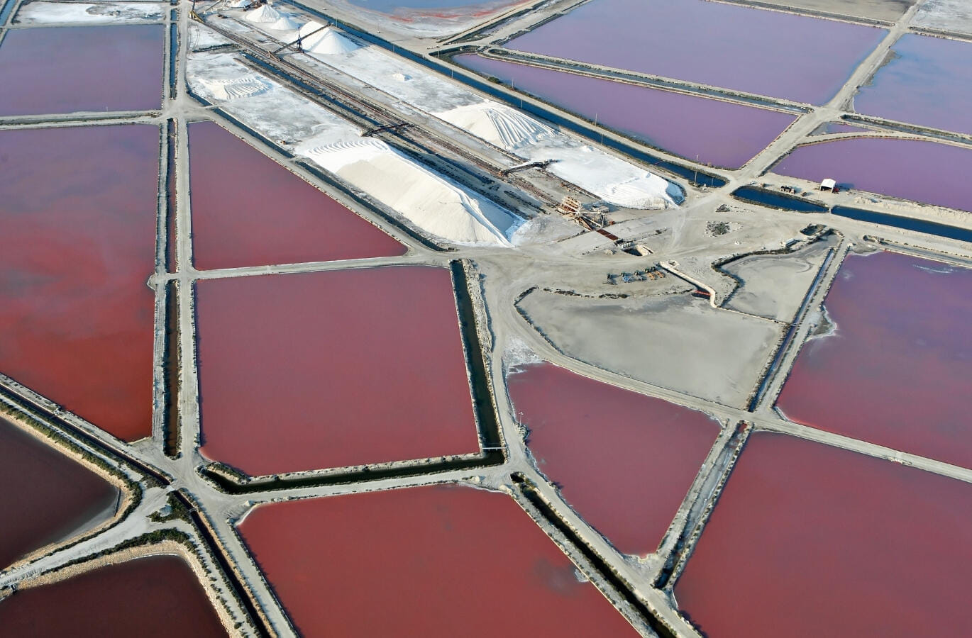 Découverte de la Camargue depuis le ciel!