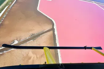 Vol Hélico - Aigues-Mortes, Salins du Midi - R66