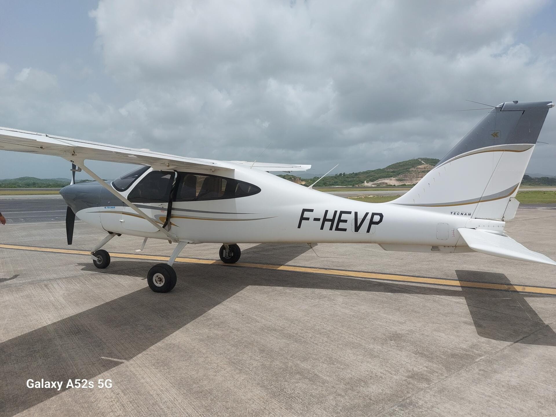 Tecnam P2010