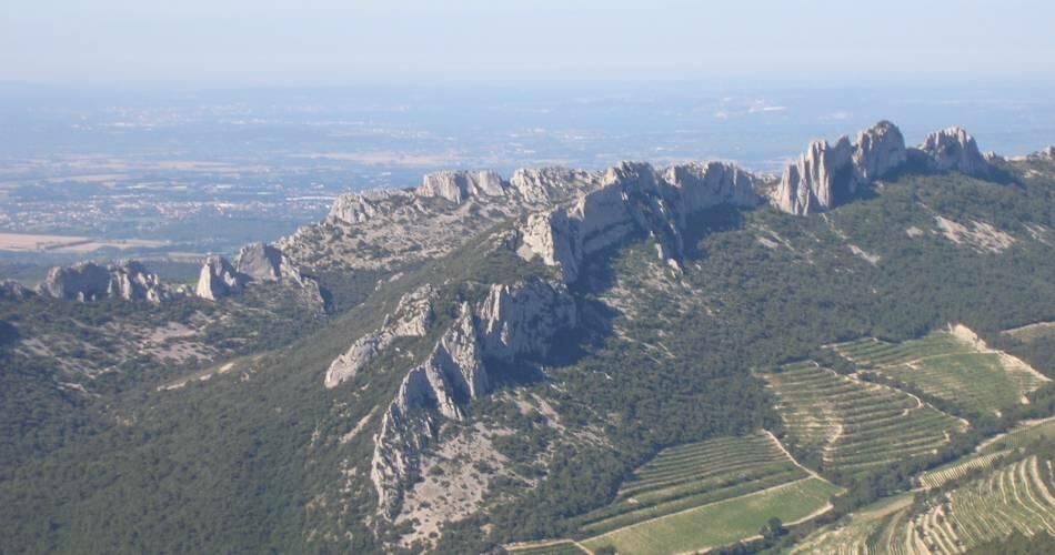 Dentelles de Montmirail