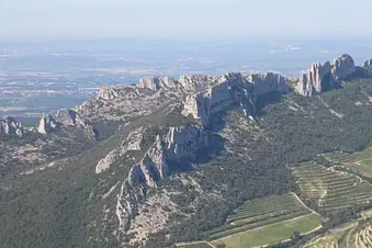 Dentelles de Montmirail