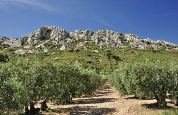 Découverte par les airs des Alpilles et du pont du Gard