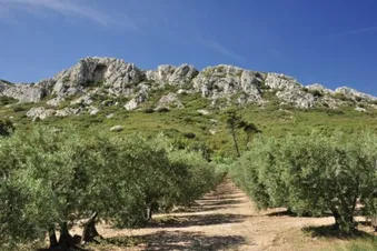 Découverte par les airs des Alpilles et du pont du Gard