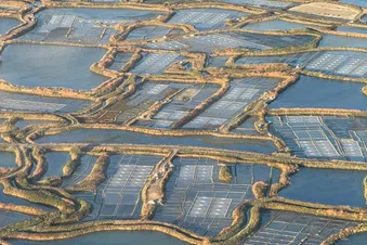 Survol des marais de Guérande et de la Brière