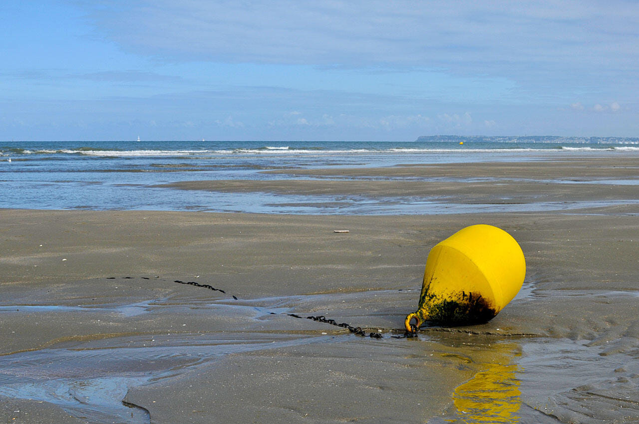La côte Normande en un coup d'aile ...