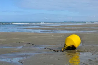 La côte Normande en un coup d'aile ...