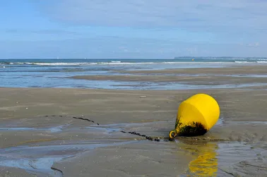 La côte Normande en un coup d'aile ...