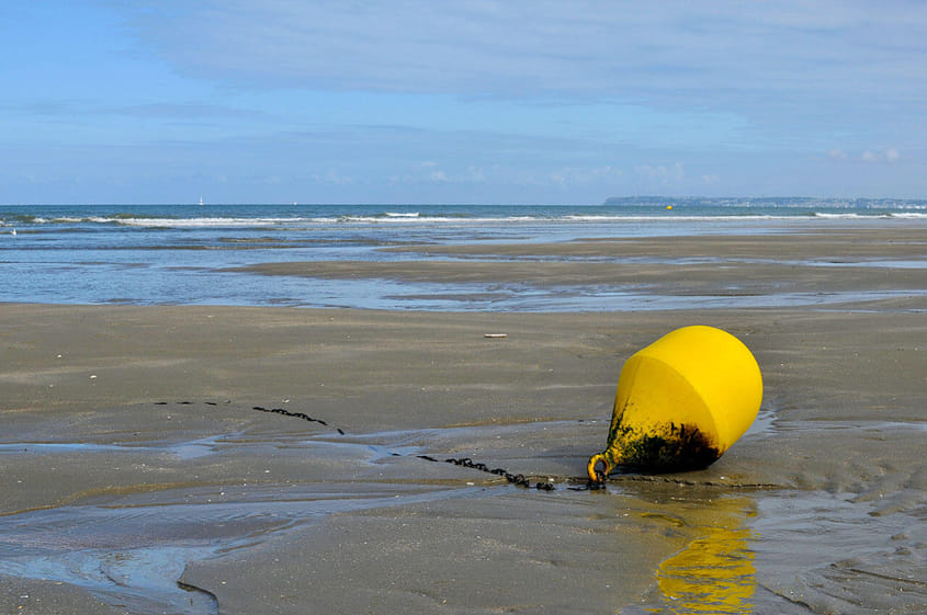 La côte Normande en un coup d'aile ...