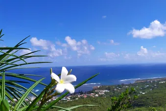 Journée/ Weekend à la Désirade
