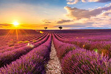 Balade aérienne Valensole / Gorges du Verdon / Lac St Croix