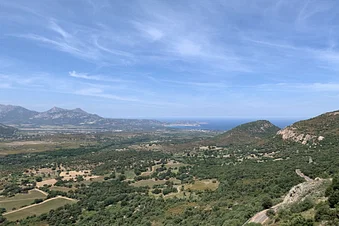 Excursion à la journée vers Calvi (Corse)