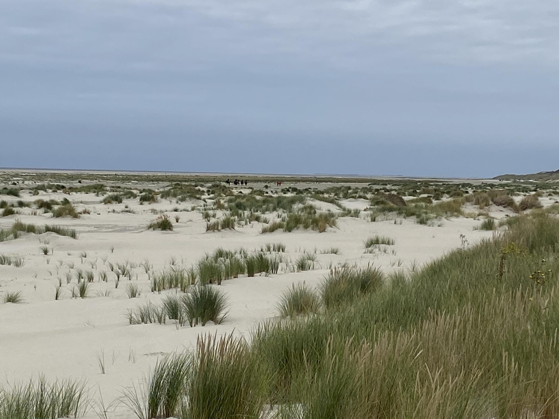 Tagesausflug nach Borkum
