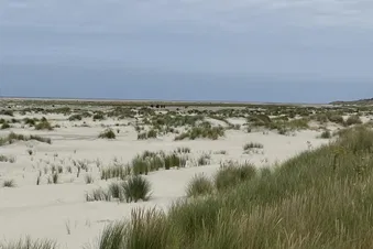 Tagesausflug nach Borkum