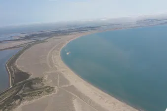 Plages de Camargue