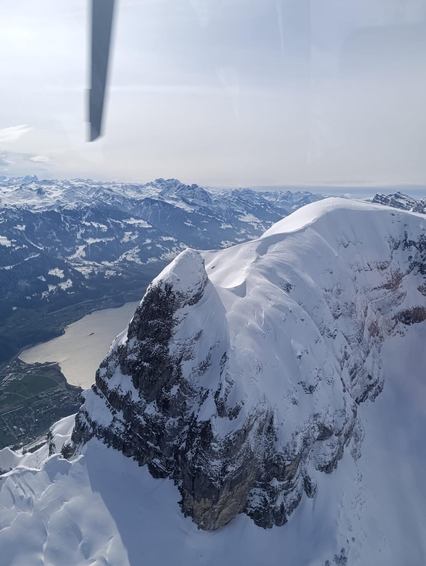 OSTERANGEBOT - Alles in Einem