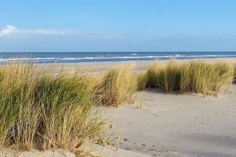 Dünen von Wangerooge