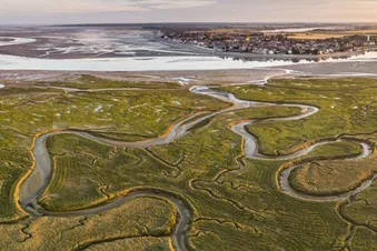 🦭🦭🦭 Expérience inoubliable, Baie de Somme en avion privé 🦭🦭🦭