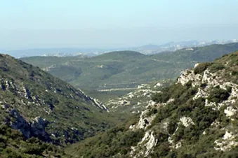 Vol en petit coucou pour un petit tour au dessus des cimes
