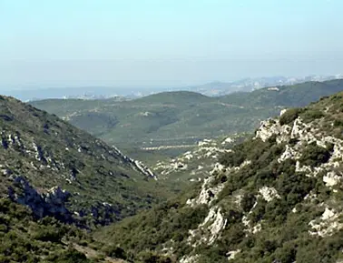 Vol en petit coucou pour un petit tour au dessus des cimes