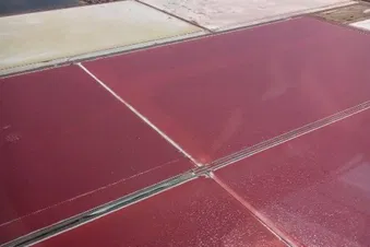 Escale à Béziers avec tout le littoral méditerranéen