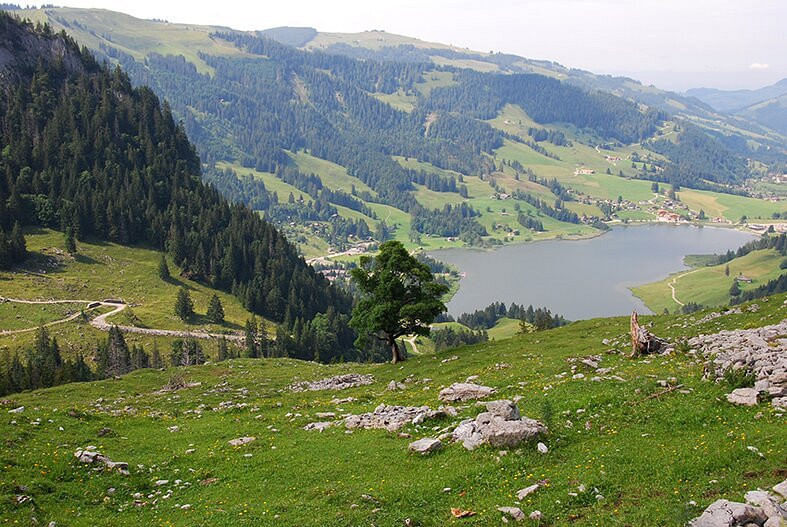 La Plaine Morte en hélico depuis Gruyères (4p)