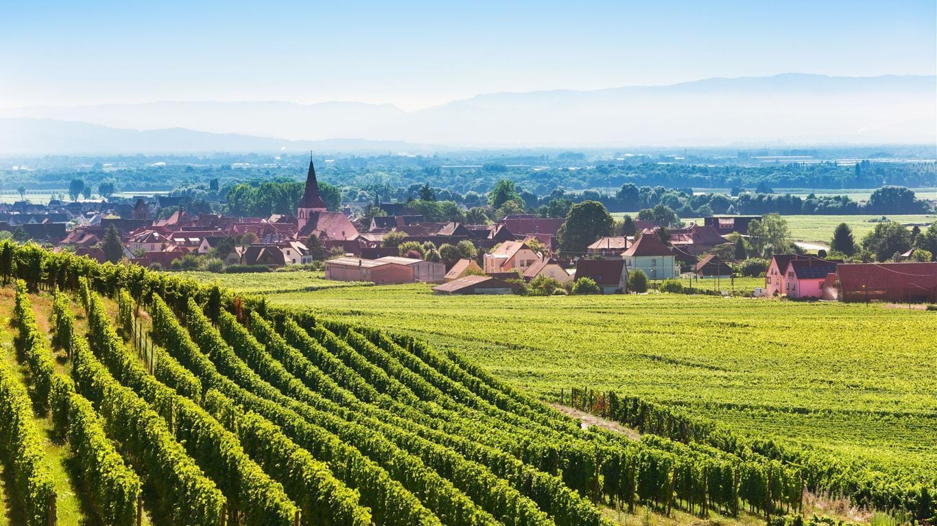 Colmar et ses alentours en Hélicoptère - 30 min