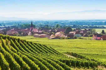 Colmar et ses alentours en Hélicoptère - 30 min