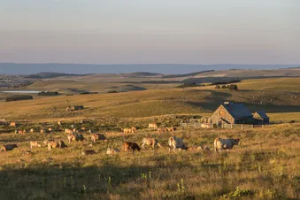 Balade aérienne entre Aveyron et monts du Cantal