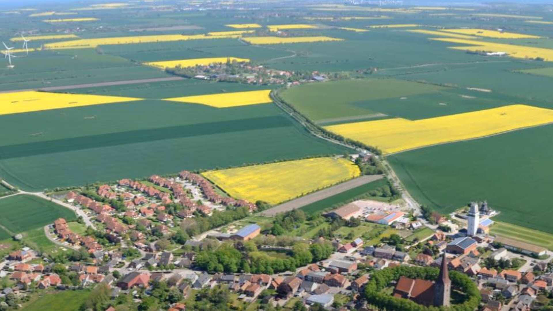 Nur kurze Zeit - Rapsfelder von oben aus sehen (RAD)