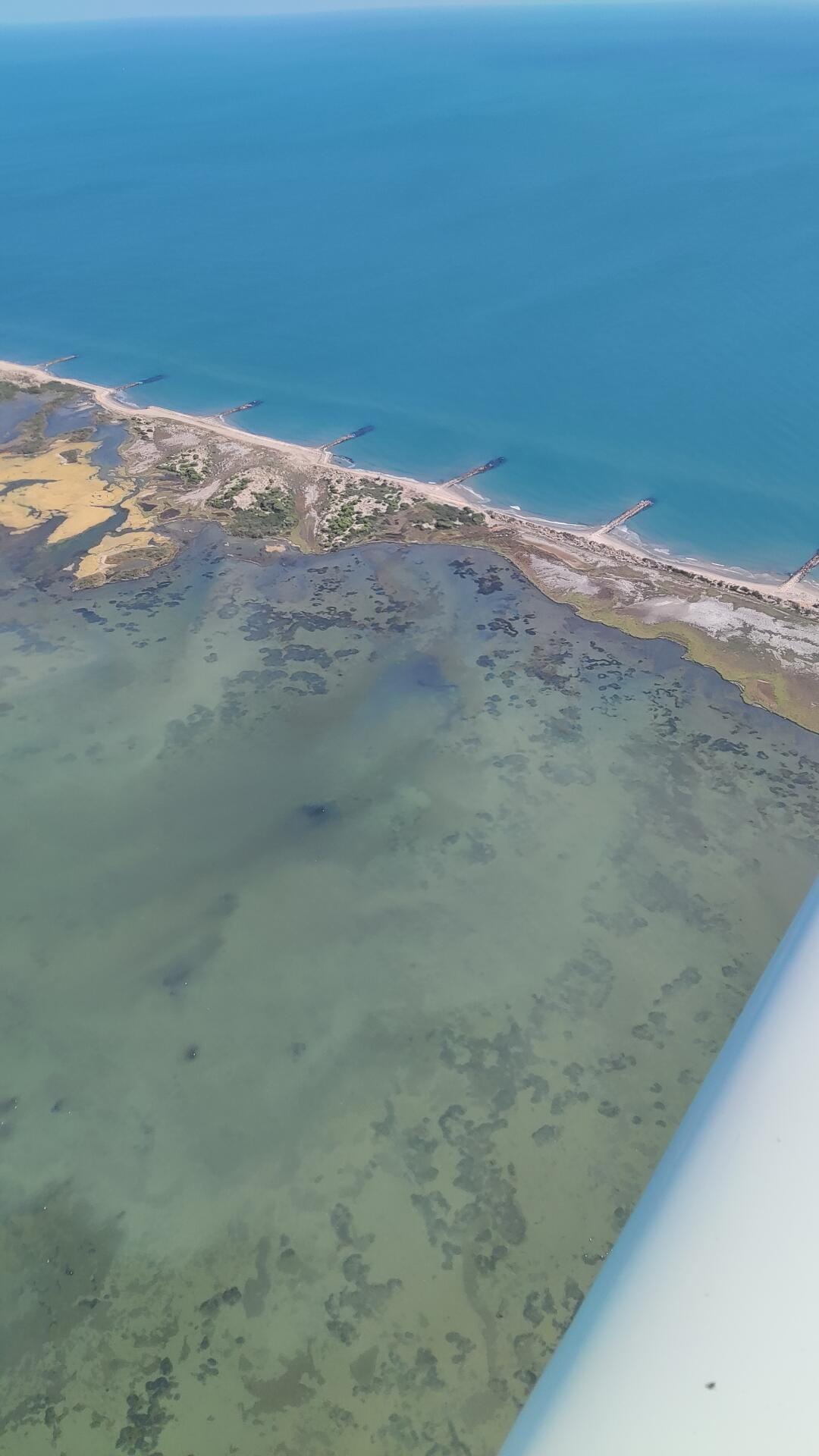 Camargue