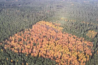 Oberpfalzrundflug ab Weiden 60 Min.