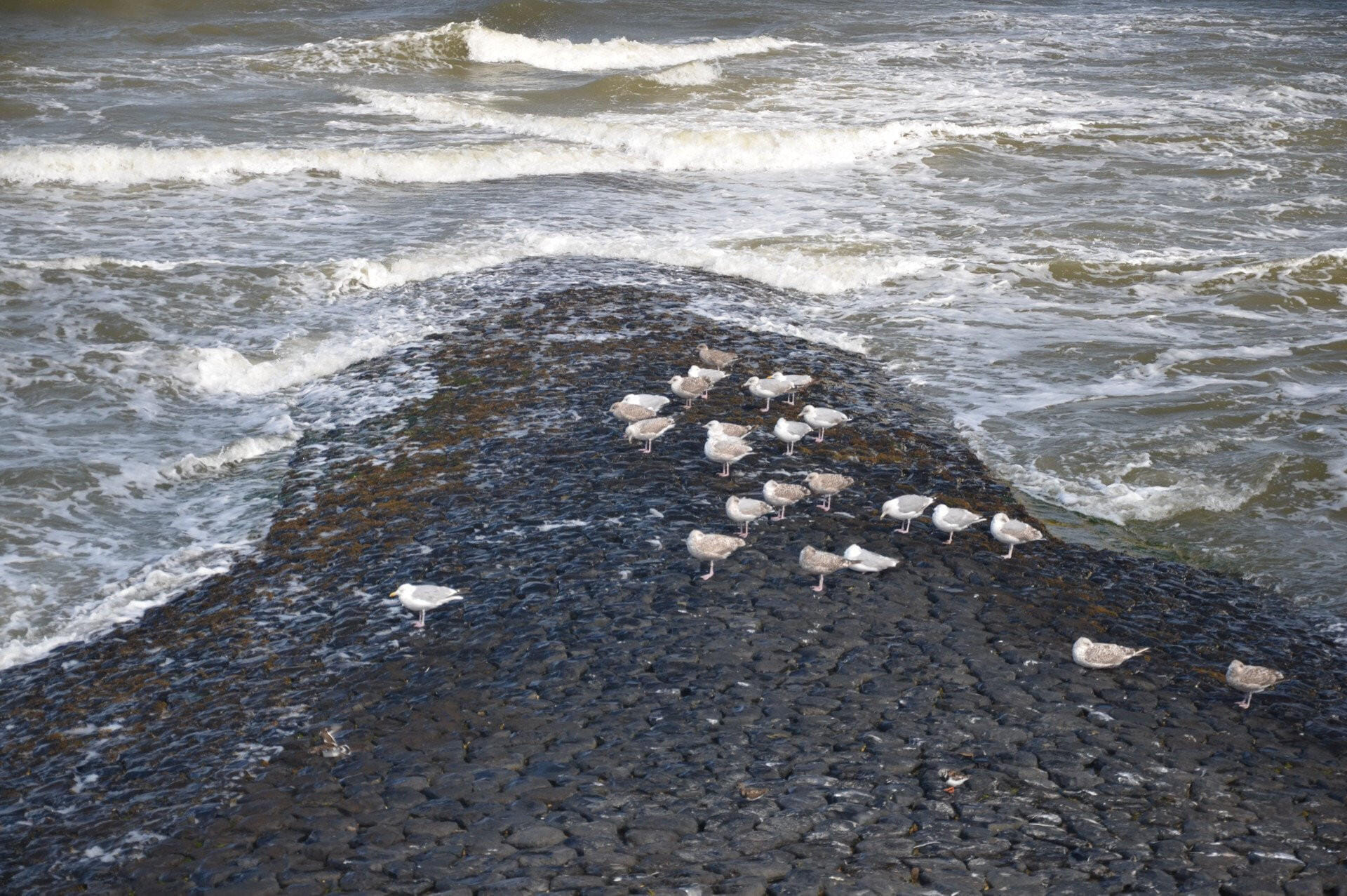 Tagesausflug an die Nordsee - Norderney