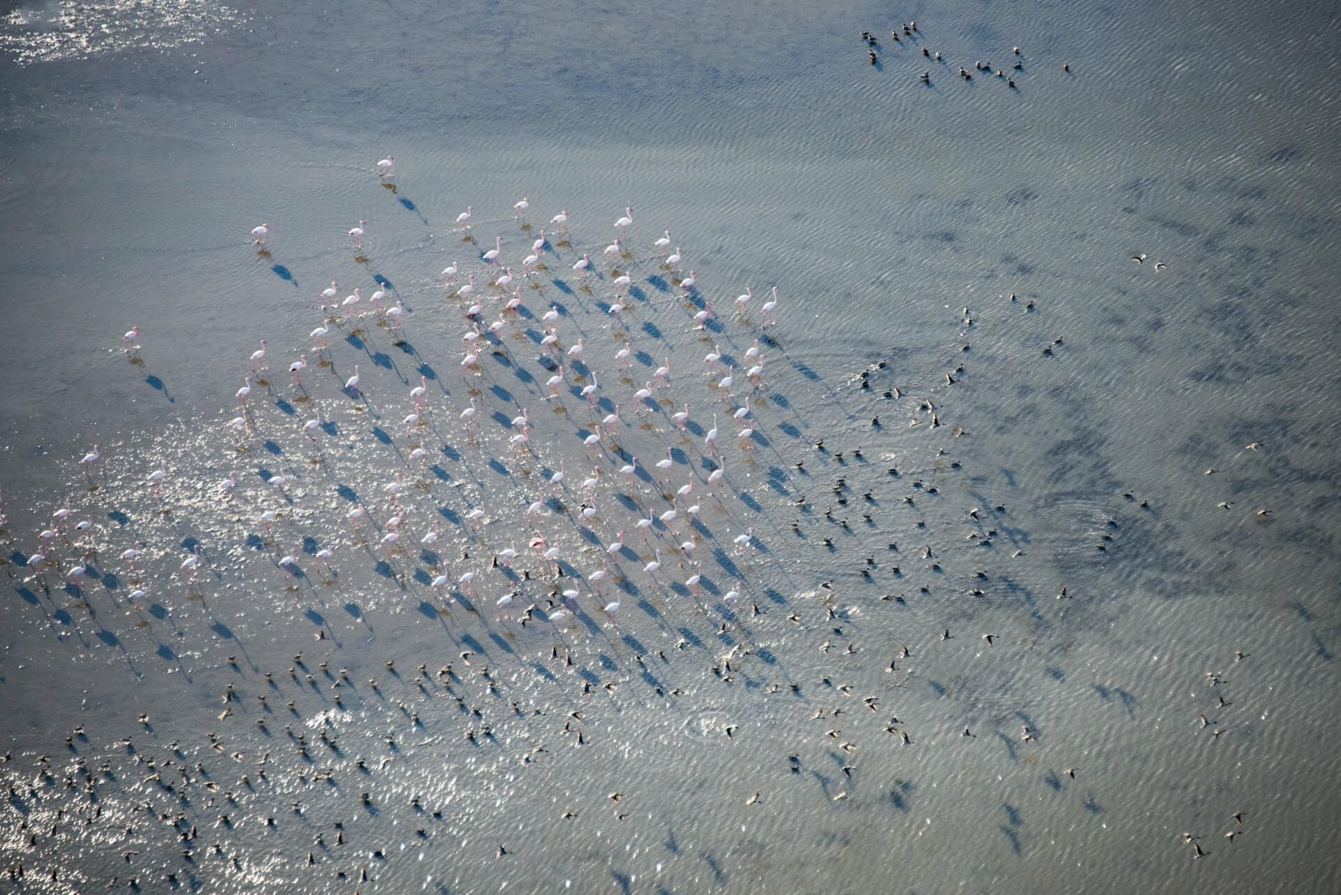 Survol Pic Saint-Loup - La grande Motte en hélico R66 Marine