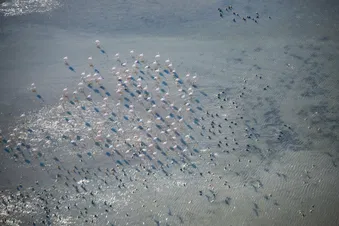 Survol Pic Saint-Loup - La grande Motte en hélico R66 Marine