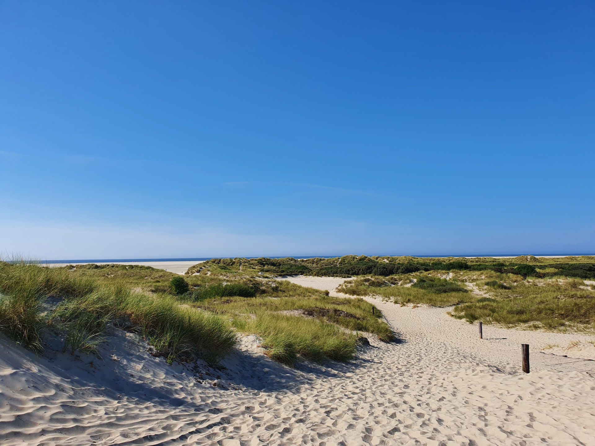 Tagesausflug nach Langeoog