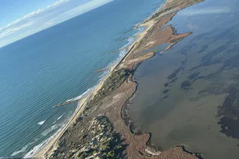 Balade en Camargue