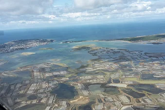 Guérande marais salant