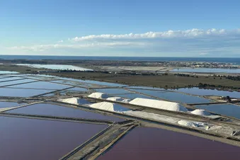 Balade en Camargue