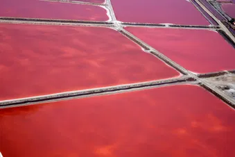 Essentiel Hélico la Petite Camargue depuis Candillargues