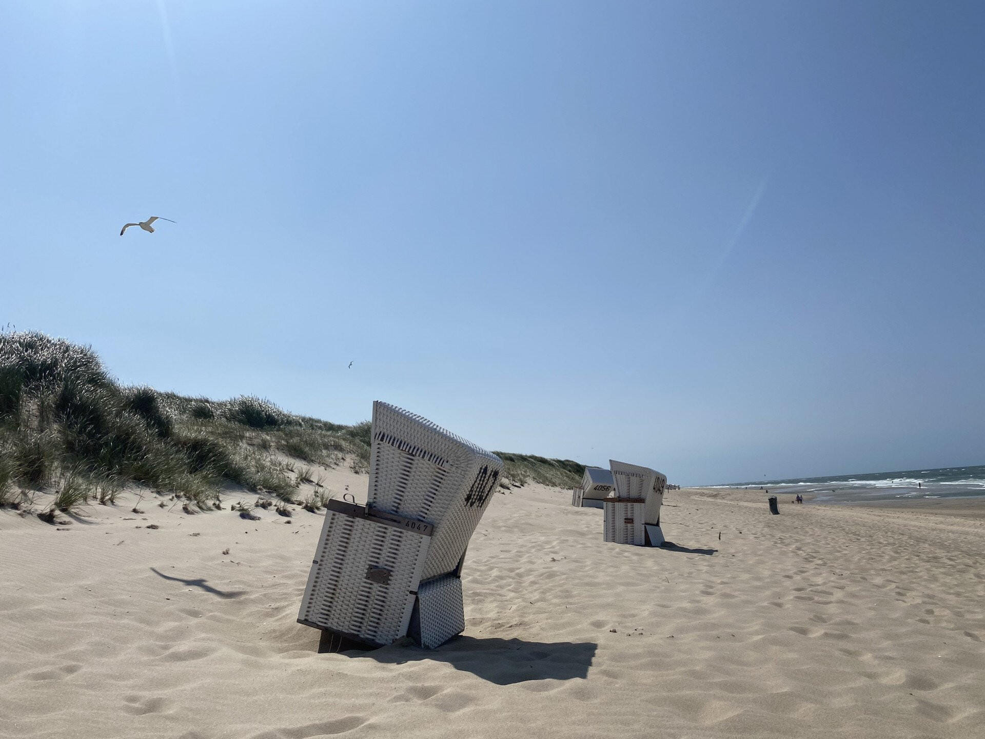 Tagestrip nach Sylt mit Hamburg Rundflug