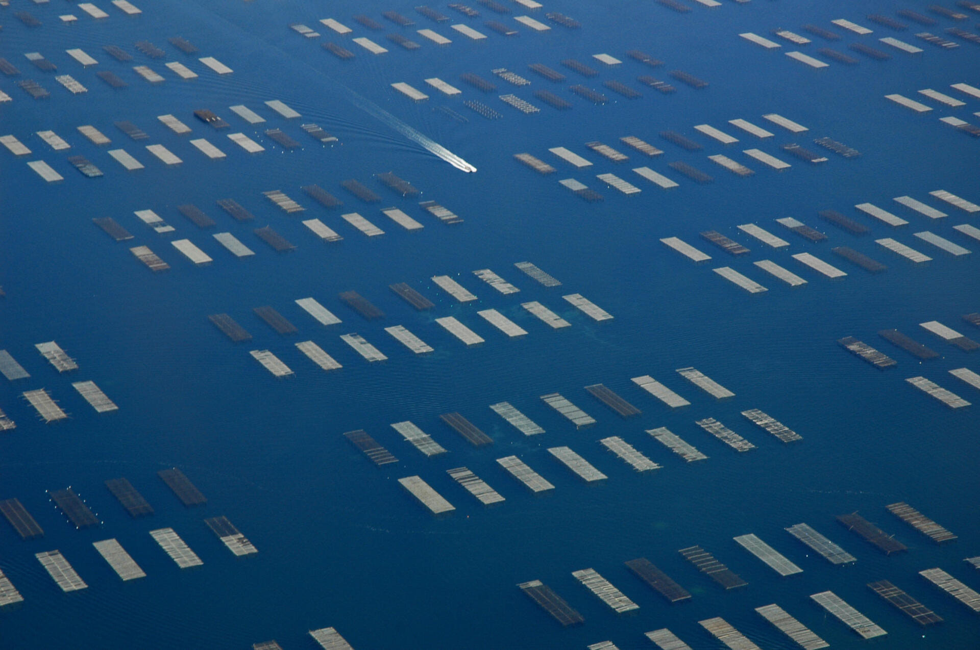 Sète et étang de Thau | 3 passagers