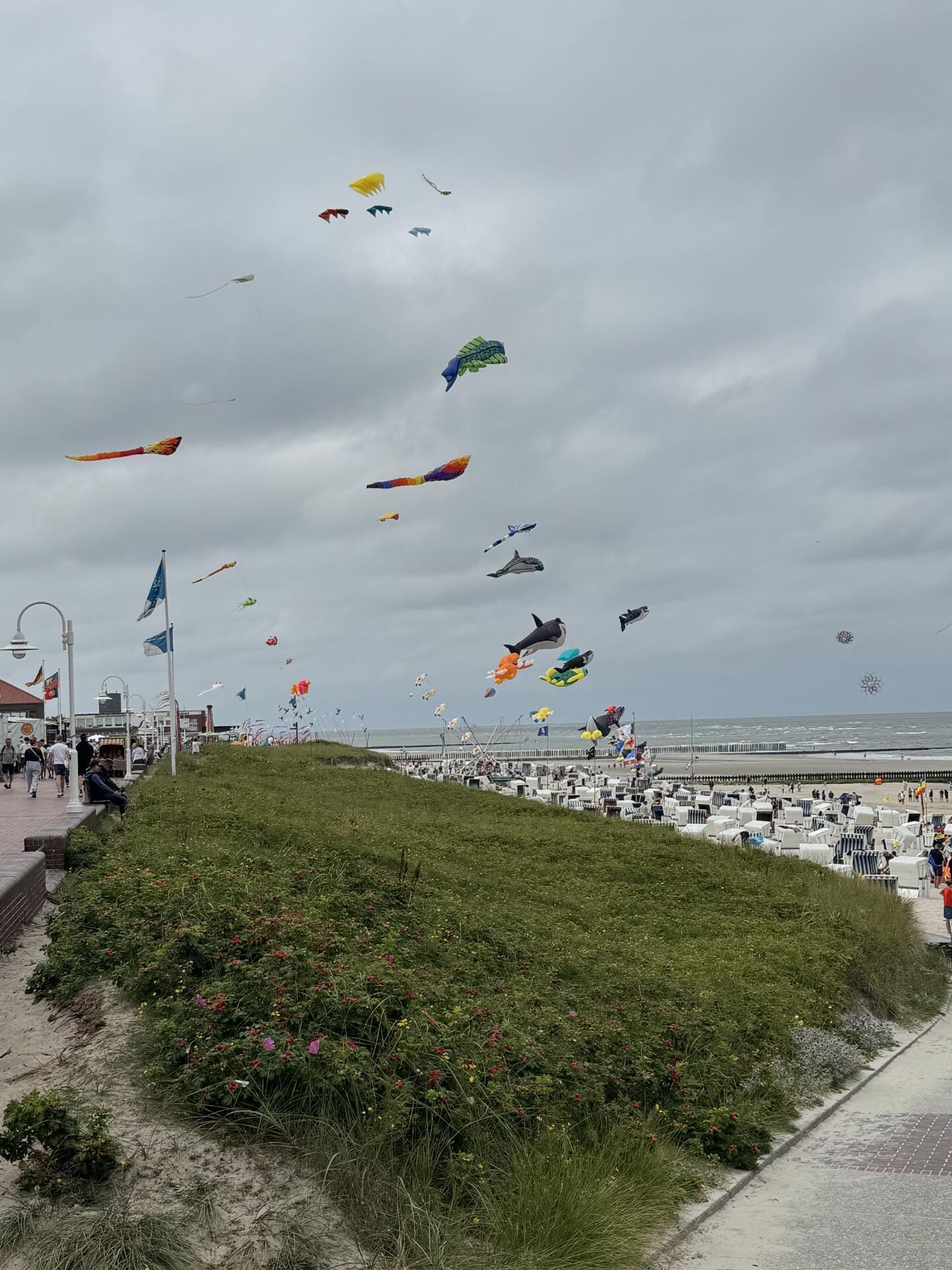 Flug von Egelsbach nach Wangerooge oder andere ….