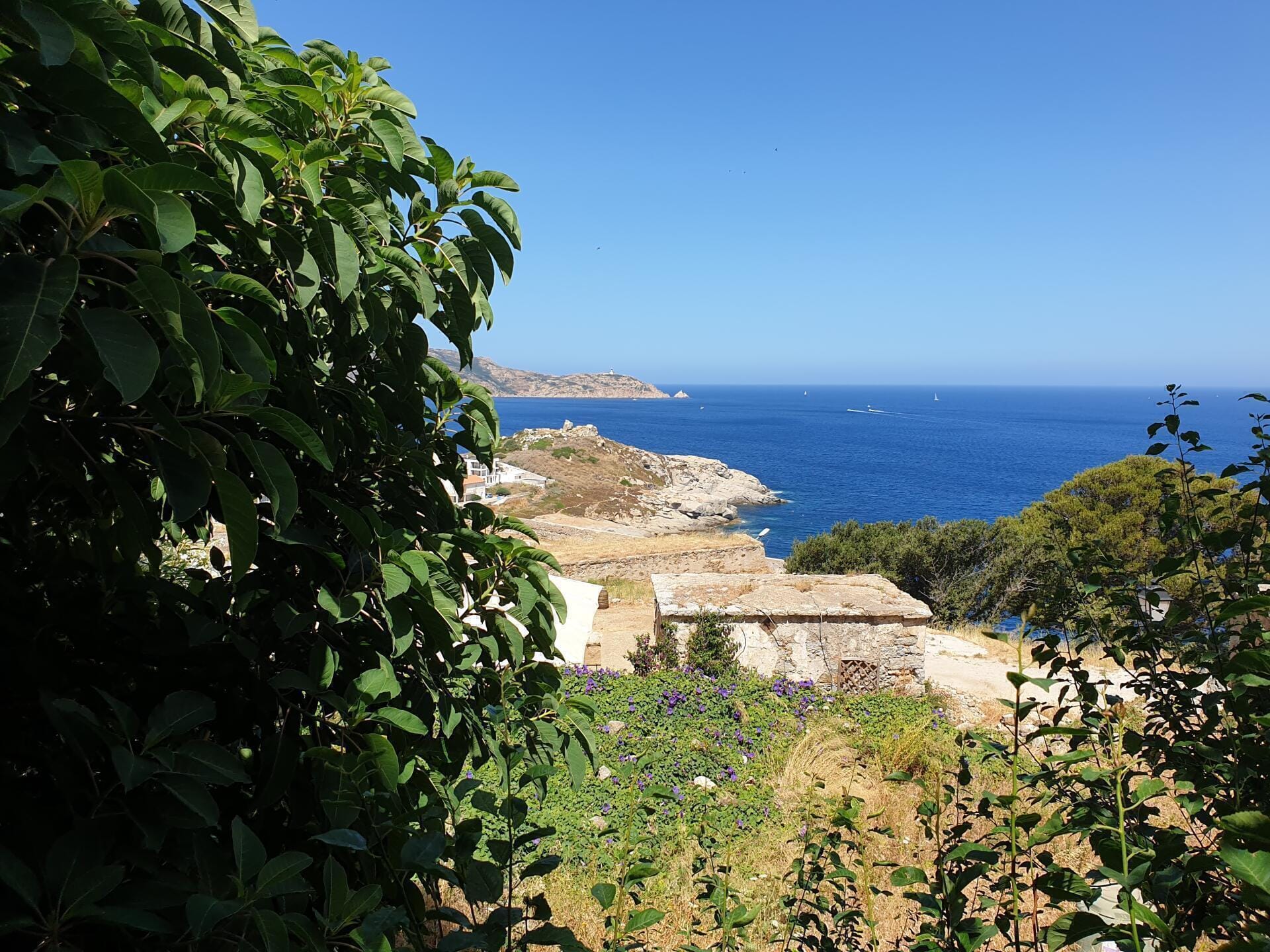 Ballade dans la vieille ville de Calvi