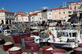 Fischessen am Meer in Portoroz/Piran (Tagesausflug)