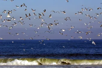 Excursion flight: Trip to Jersey in the Channel Islands