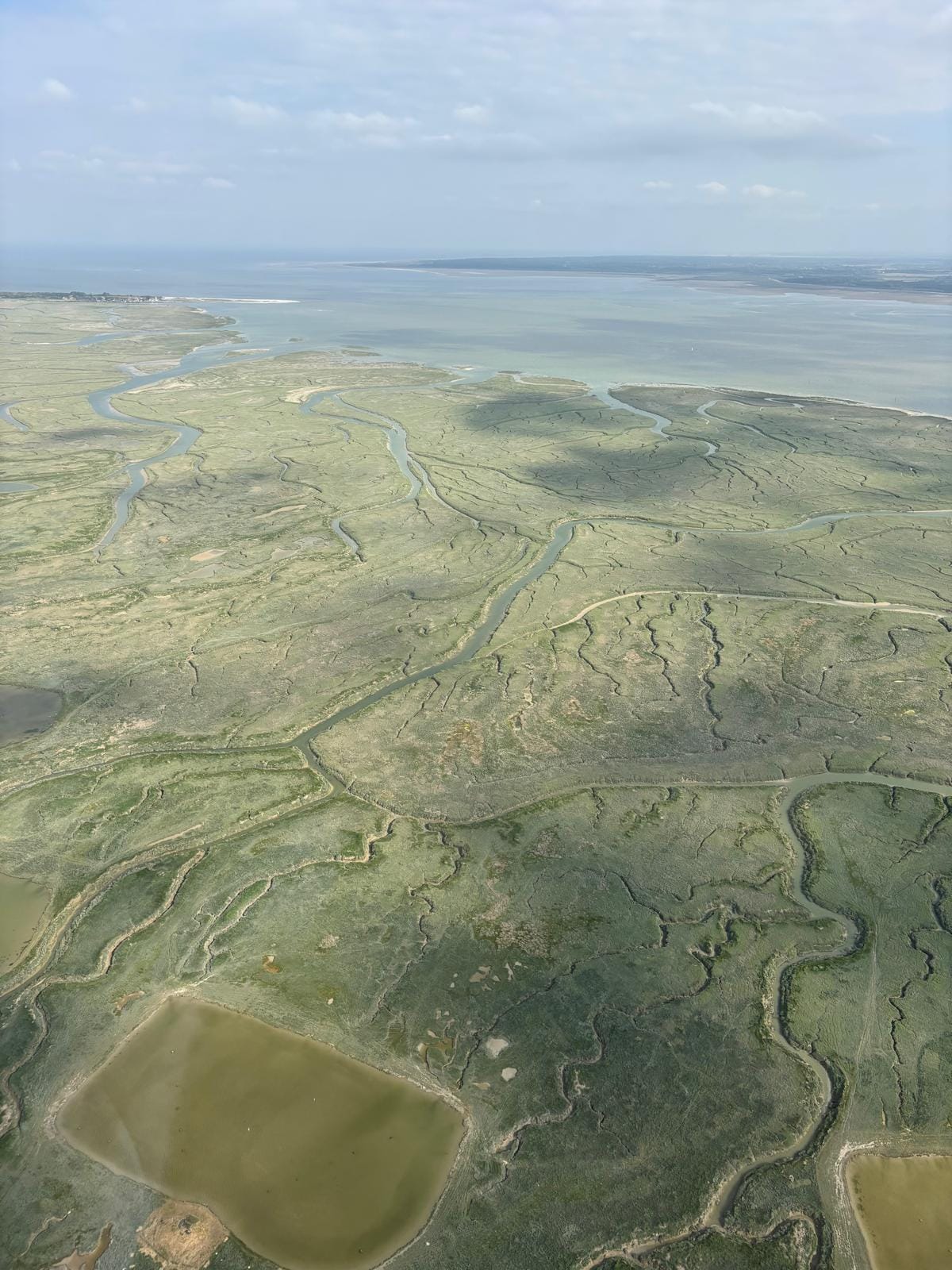 découverte de la baie de somme par la cote