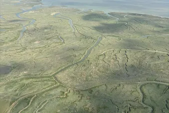 découverte de la baie de somme par la cote