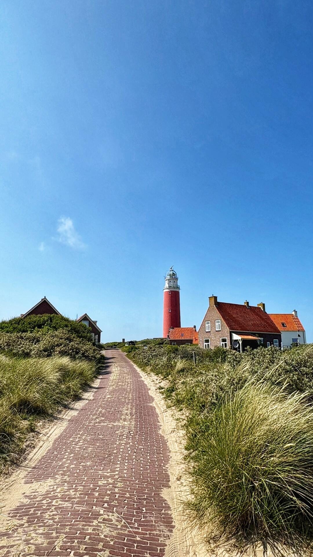 Antwerp to Texel Day Trip