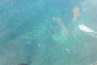 La Martinique d'en haut !