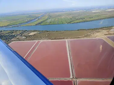 La Camargue : nature et flamants roses